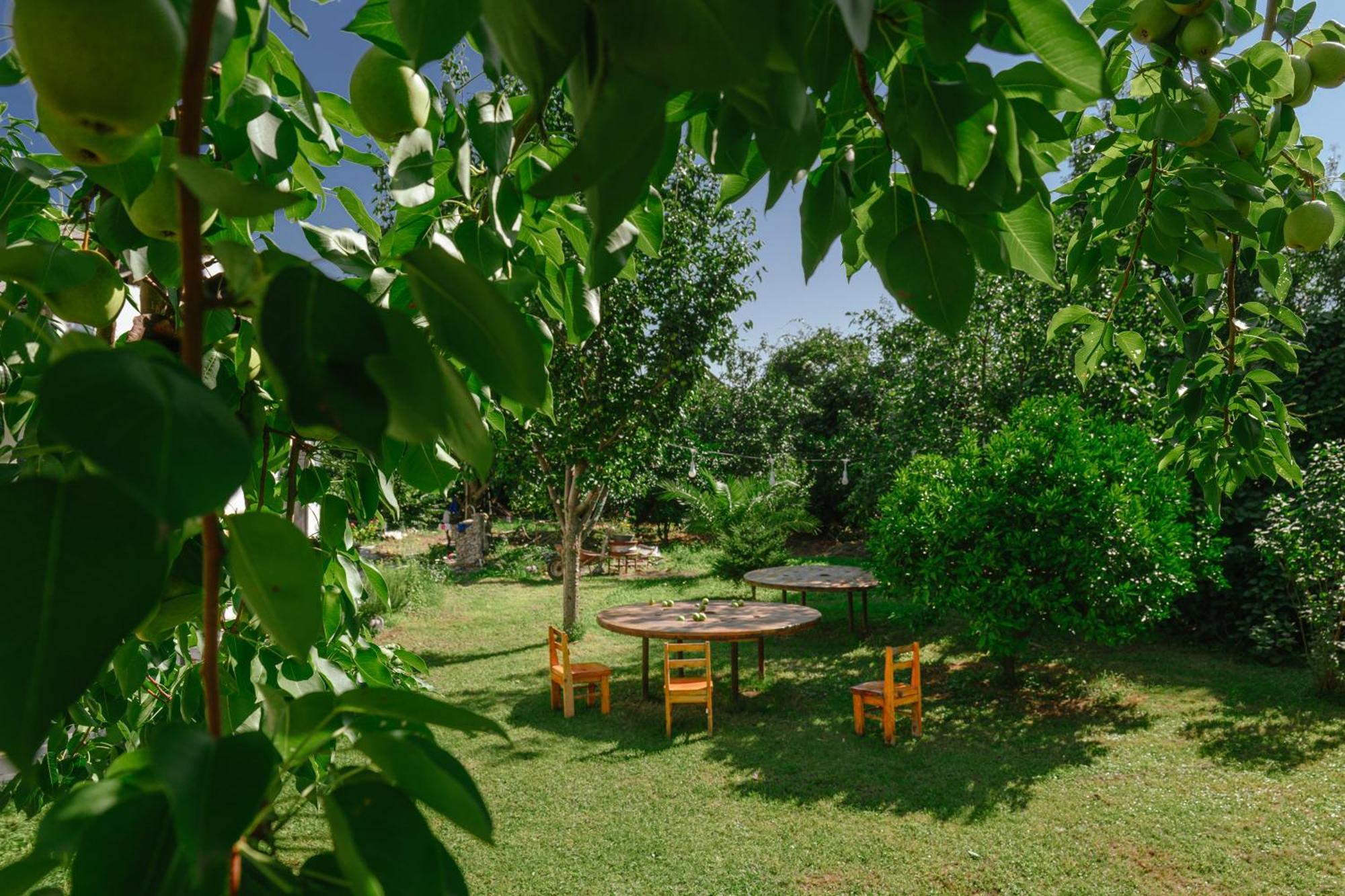 Senima'S Paradise Batumi Luaran gambar